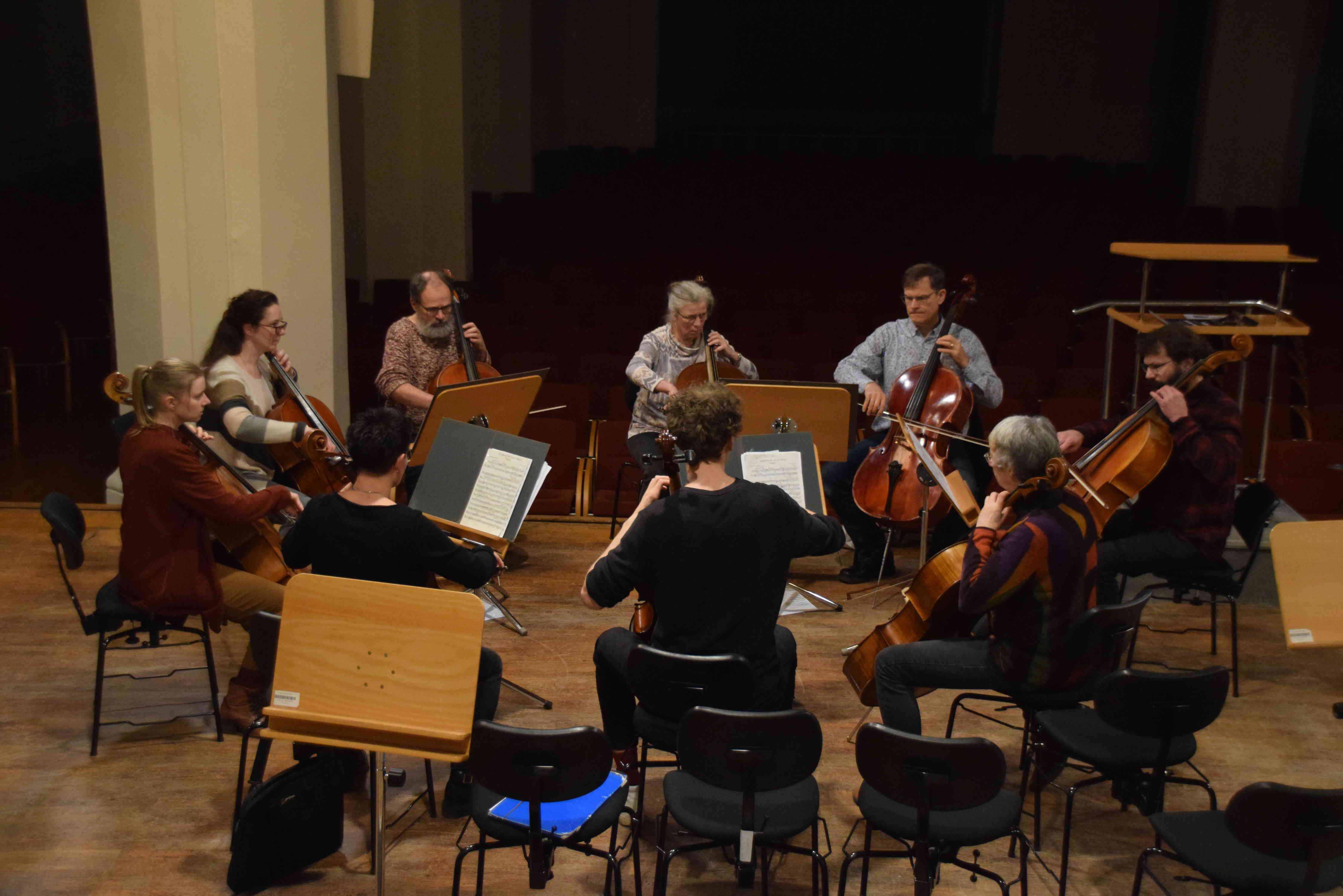 Cello Stimmprobe